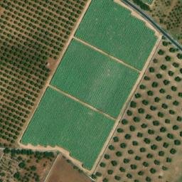 Mappa satellitare STRADA PETRELLI UNO, Turi