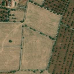Mappa satellitare STRADA COMUNALE ZINGARELLI, Putignano