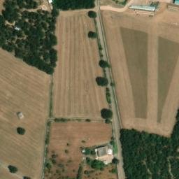 Mappa satellitare STRADA COMUNALE BOSCO UNO, Putignano