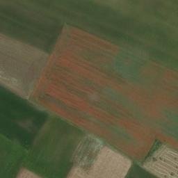 Mappa satellitare STRADA PROVINCIALE 238, Altamura