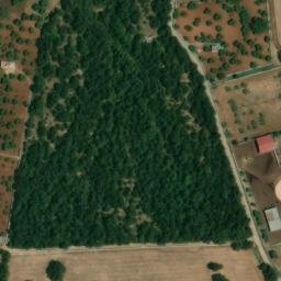 Mappa satellitare STRADA COMUNALE UPINTO, Putignano