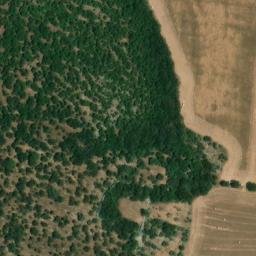 Mappa satellitare STRADA COMUNALE SPARTAGLIO, Putignano