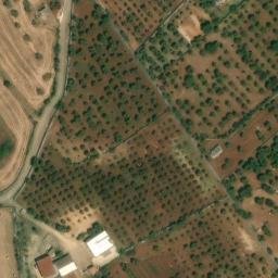 Mappa satellitare STRADA COMUNALE CONEA, Putignano