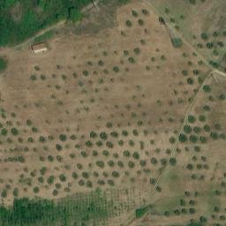 Mappa satellitare CONTRADA BOSCO, Valva