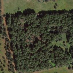 Mappa satellitare CONTRADA SCIOTTA, Ceglie Messapica