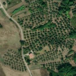 Mappa satellitare CONTRADA PANERICOTTA, Buccino