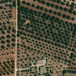 Mappa satellitare STRADA PALOMBARO, Sava