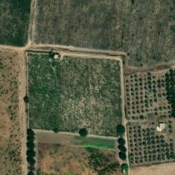 Mappa satellitare VIALE CAGGIONCIELLO, Pulsano