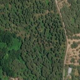 Mappa satellitare VIA SAN ROCCO, Ascea
