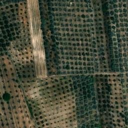 Mappa satellitare VIA VICINALE SAN BASILIO, Giurdignano