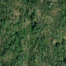 Mappa satellitare CONTRADA CAPRARO, Lauria