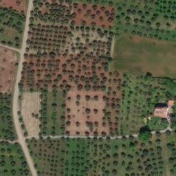Mappa satellitare CONTRADA FORESTA, Firmo