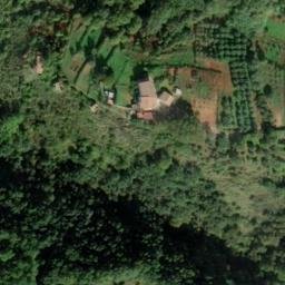 Mappa satellitare CONTRADA TRISCINO, Maierà