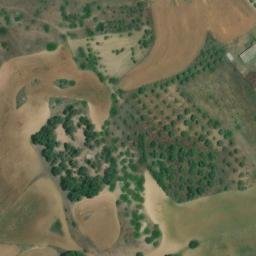 Mappa satellitare STRADA VICINALE LAINARGIU, Gonnoscodina