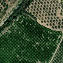 Mappa satellitare CONTRADA MACCHIA, Calopezzati