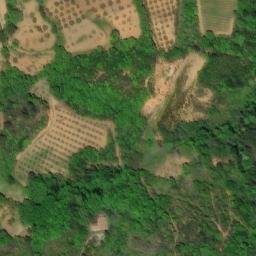 Mappa satellitare CONTRADA GAMMAROSSA, Acri