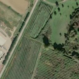 Mappa satellitare CONTRADA SQUARCIO, Bisignano