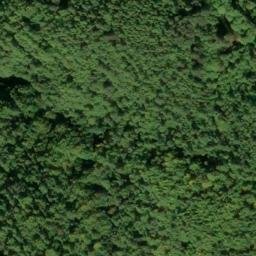Mappa satellitare CONTRADA CANTARI, Acri