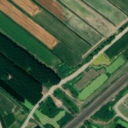 东田庄乡卫星地图