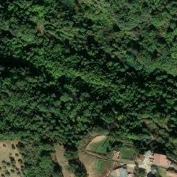 Mappa satellitare CONTRADA FIMMINA MORTA, Luzzi