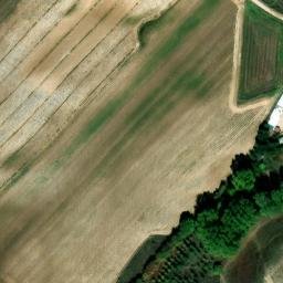 Mappa satellitare LOCALITA' TORRE BARONE, Celico