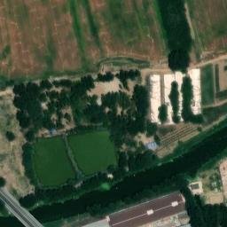 汊沽港镇卫星地图