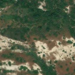 Mappa satellitare CONTRADA AMARI, Caccuri