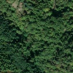 Mappa satellitare CONTRADA SAVUTO, Carpanzano