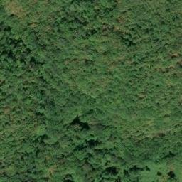 Mappa satellitare CONTRADA PANTANO, Carpanzano