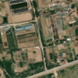 精武镇卫星地图