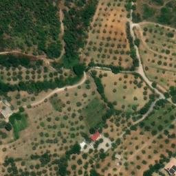 Mappa satellitare VIA CONDITO ALBERTO, Cropani
