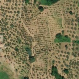 Mappa satellitare CONTRADA GAMBONE, Catanzaro