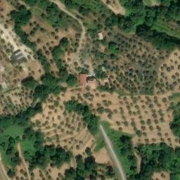 Mappa satellitare CONTRADA PEPIZZATA, Catanzaro