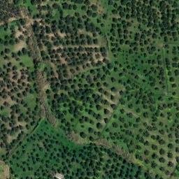 Mappa satellitare CONTRADA FRASSA', Maida