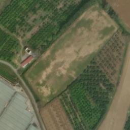Mappa satellitare CONTRADA SURVILLO, Curinga