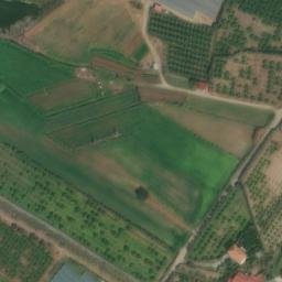 Mappa satellitare CONTRADA TORREVECCHIA, Curinga
