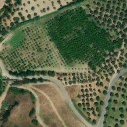 Mappa satellitare VIA PENELOPE, Squillace
