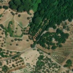 Mappa satellitare CONTRADA FUMARICA, Argusto