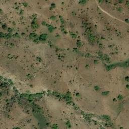 Mappa satellitare CONTRADA MITTA, Floresta