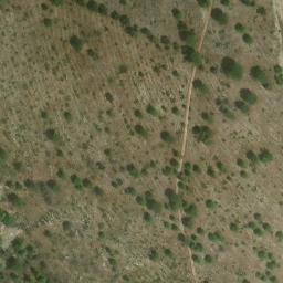 Mappa satellitare CONTRADA BOSCO, Calatafimi-Segesta