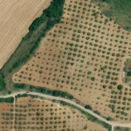 Mappa satellitare STRADA 81, Castelvetrano