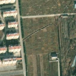 泽头镇卫星地图
