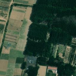 银城街道卫星地图