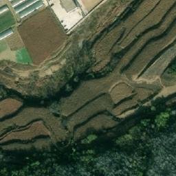 坡头乡卫星地图