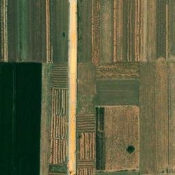 杨屯乡卫星地图