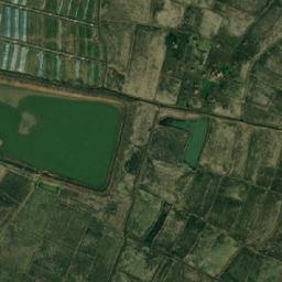 观堂乡卫星地图