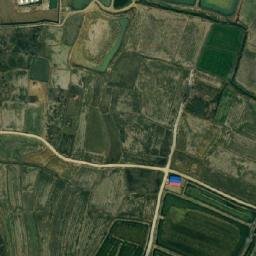 杨集乡卫星地图
