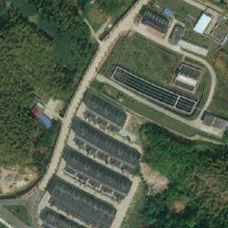 佛子岭镇卫星地图