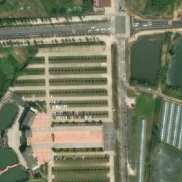王家河街道卫星地图