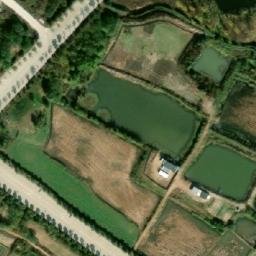 永安乡卫星地图